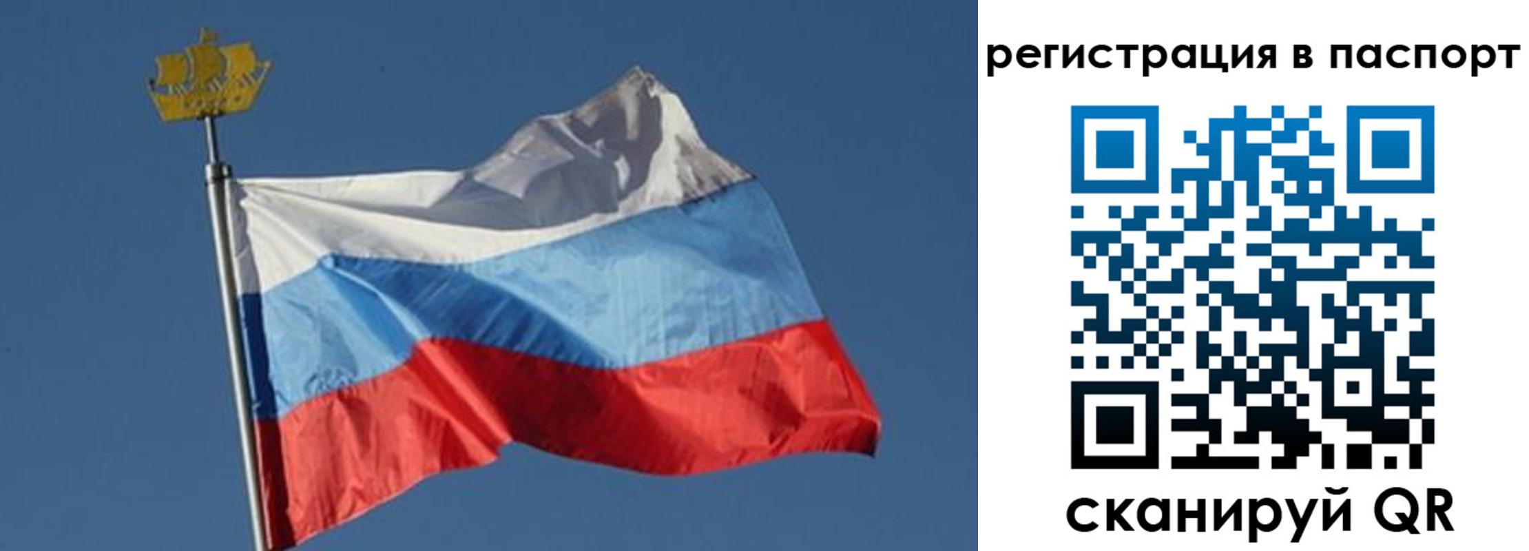 временная регистрация законно в Нововоронеже